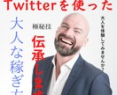 Twitter✖️大人の稼ぎ方特別にお伝えします 子供と大人の違い！大人ぶって余裕のある生活をしてみませんか？ イメージ1