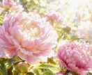 みなさんに恋愛メッセージ送ります 1000字程度の恋愛アドバイスを。毎月可能 イメージ2