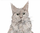 即日納品可能、画像を参考に鉛筆スケッチを描きます 画像を元にスケッチ画から全面カラーの絵画まで心温まる物に。 イメージ5