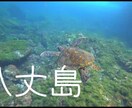 旅行、日常、お出かけの写真・動画を1本にまとめます 撮り溜めている思い出の写真や動画を1本のムービーに。 イメージ1