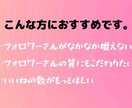 インスタのアクティブフォロワーを増やす方法教えます フォロワーさんの”質”や「いいね」の数を増やしたいあなたへ イメージ2