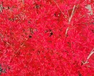 お話し聞きます 前向きになりたい時に。誰かに話したい時に。 イメージ2