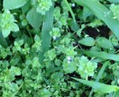 こころにぴったりわかります クリぼっち今から辛い、、、その気持ちを癒します。 イメージ2