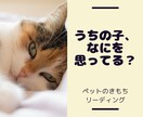 ペットの本音、翻訳します あなたの大切な"家族"の気持ちを占います【霊感タロット】 イメージ1