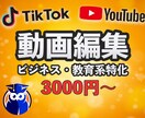 Youtube・Tiktok向けの動画を編集します ビジネス系・教育系に特化しています（その他のジャンルもOK） イメージ1