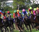 8月29日日曜　中央競馬　穴馬推奨します 穴目の馬を予想します！中穴から大穴までを主にあげます！ イメージ1