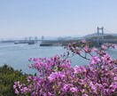 旅好きさん集合✈️ ✨あなたの感動お聞きします 旅好き女子と一緒に思い出共有しませんか╰(*´︶`*)╯♡ イメージ5