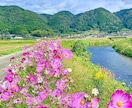 想ってくれてありがとう♡遺族経験者が寄り添います 遺族の無念さ♡心痛　後悔　心神喪失　孤独感　弱音愚痴何でも イメージ9
