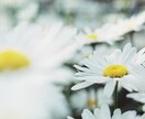 誰かと話がしたい！相談・愚痴・悩み等お聞きします 【お試し1分から】違うかな？と思ったらお切りください イメージ9