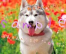写真の文字入れを格安でやります 思い出に残る写真に文字入れしたいという方に！ イメージ1