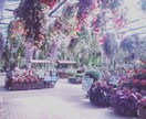 写真好きな方にオススメします 色彩感覚がお好きな方にオススメです(^^) イメージ1