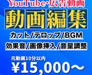 あなたのYouTube動画を丁寧に編集いたします 広告動画制作もお受けいたします！ イメージ1