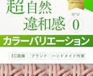 超自然！カラーバリエーション制作承ります ビフォーアフター/カラバリ/画像加工/レタッチ/自然に見える イメージ1