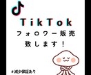 TikTokフォロワー✨＋1,000人✨増加します 高品質フォロワー！！1000人増やします イメージ2