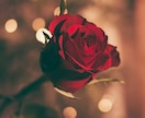 薔薇よりイケボ♠️【僕か僕以外か】貴方♥と紡ぎます イケボに失神/No.1/唯一無二/ロマンス/夢心地/VIP♥ イメージ2