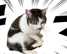 画像編集、動画編集などをお得に受け承ります スマホではできない、完成度の高い編集を施します！！ イメージ1