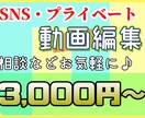 動画編集&サムネ作成任せてもらいます ゲーム実況・実写動画・PR動画・思い出旅動画等 イメージ1