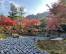 京都市内の観光地、穴場スポット写真代行致します 『コロナ禍でなかなか京都観光に行けない』という方に必見‼︎ イメージ1