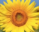 誰にも言えないこと何でも聞きます AIでは解決出来ない人と人との繋がり大事にしてます イメージ1