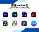 YouTube 動画編集します 話し手の人柄が120%伝わる動画制作 イメージ6