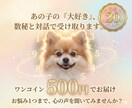 数秘術×アニコミで愛犬の意外な本音をお届けします 性格・本音・接し方アドバイスを、優しい言葉でお伝えします。 イメージ1