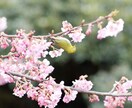 どんなお話しでも親身になってお聞きします 誰かに話して笑顔になりたいあなたへ。電話でお話ししましょう。 イメージ2