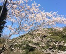 僕に出来ることなら何でもします こんな事はやってくれるのかな？大丈夫です！ イメージ1