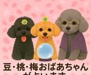 豆・桃・梅ばあちゃんが恋を占います トイプードル3匹が寄り添い癒し系の恋愛占いをお届けします イメージ1