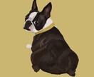 写真からペットのイラストを作ります 犬、猫、その他の動物も大歓迎です！ イメージ5