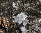 女性限定☆成婚退会した私が婚活の愚痴お聞きします 婚活奮闘中の皆様!頑張っててすごいです!お疲れ様です! イメージ6