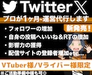 VTuber専用！プロがTwitterを運用します Vライバー様や準備中様も◎ツイッター,Xを専属プロが運営！ イメージ1