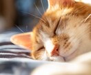 モヤモヤしていませんか。あなたのお話をお聞きします 心が温まりますように～♪なんでもお気軽にお話くださいね。 イメージ6