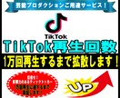TikTokの再生回数が増えるよう拡散しますます 10,000回まで拡散 | 動画の振り分け可能 イメージ1