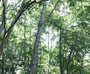 恋愛のお悩み占います 気持ちに寄り添い、より良い未来へ進めるようにサポート致します イメージ3