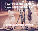 エンタメ系限定！SNS用ショート台本作成致します あなたのお仕事をエンタメ風にSNS発信しませんか？ イメージ1