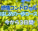 怒りや悲しみ、書き殴ってください！受け止めます 元幼稚園教諭が、あなたの3日間感情コントロールに伴走します！ イメージ1