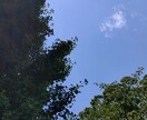 幸せになりたい！恋愛相談をタロットで占います 幸せになりたい方、タロットで、あなたもすっきりしませんか？ イメージ4
