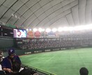 野球全ての知識を教えます 野球の内容で困っているあなた！！ イメージ1
