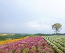 あなただけの為のミニ生演奏会を開催します 口笛で、あなたの心を軽くします♪ イメージ2