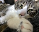 知らない同士だからできる相談にのります 友人には話せない、そう言った相談から！ イメージ1
