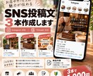 SNSの投稿文を3本作成します Instagram・Threadsの投稿文を作成します イメージ1