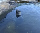 女性のための、なかなか人には言えない相談に乗ります 気兼ねなく、自分の本当のことをお話して、楽になりませんか？ イメージ1