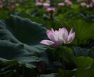 一人反省会してしまうHSPさんの悩みを整理します 話すだけで終わらない。頭と心を一緒に整理するセッション イメージ2