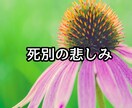 亡くなった方への辛い気持ちにそっと寄り添います 泣きたい/やるせない/どんな思いも吐き出してください イメージ6