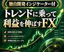 チャート分析不要！トレンド追随型FX手法教えます 無裁量、オリジナルインジケーター、チャンスで自動メール機能付 イメージ1