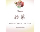 可愛い命名紙お作りします 【ベビー命名書】オーダー 命名紙 名入れ 命名式 出産祝い イメージ1