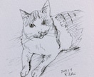 猫ちゃんのイラスト絵を手描きで描きます 猫ちゃんのお写真からわたくしが手描きでイラスト絵を描きます イメージ8