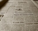 ブログ用の記事書きます 生産性を向上させてみませんか？ イメージ1