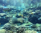 相手と貴女の本当の気持ちがわかるタロット鑑定します 実績1000件！潜在意識✖️タロット鑑定の現役プロの電話占い イメージ8