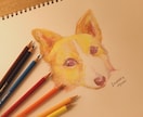ペットの似顔絵描きます アナログでペットの似顔絵を描きます。 イメージ1